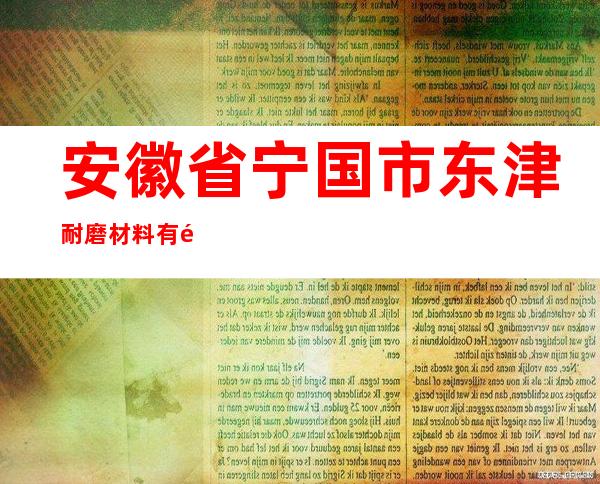 安徽省宁国市东津耐磨材料有限公司销售部